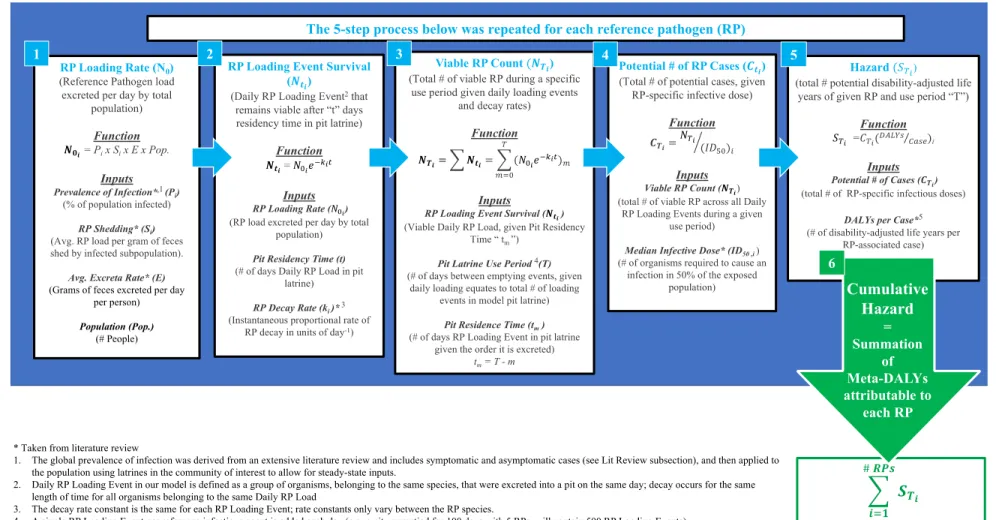 Figure 1. Flow diagram of the pit latrine hazard model. 