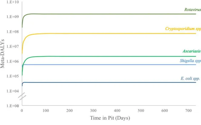 Figure 4. Meta-DALYs attributable to each reference pathogen in model pit latrine over two-year period