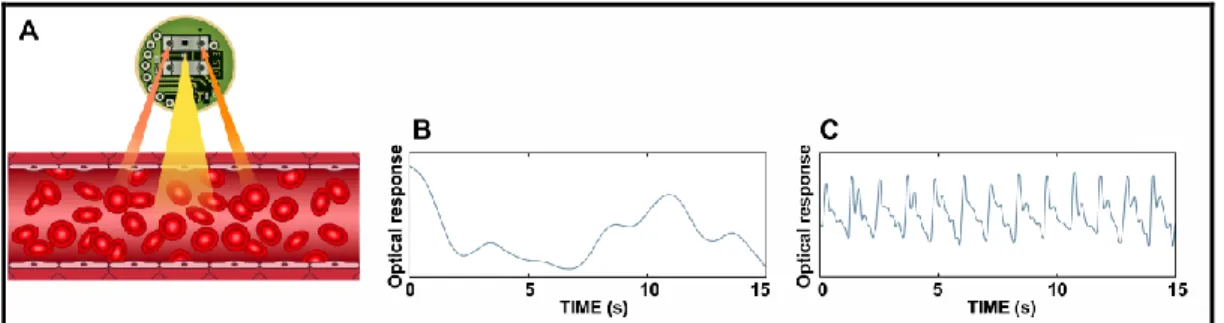 Fig. 1 Schematic overview of the miniature dynamic light scattering (mDLS) technique used in this study