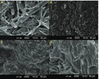 Figure 4 shows SEM images of Dpe with four saccharide solu-tions as the solid carrier