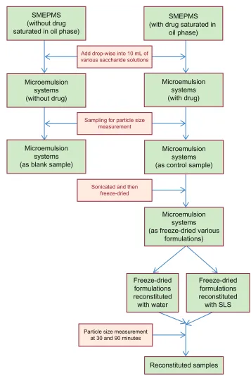 Figure 1 The scheme of sMePMs preparation and characterizations.