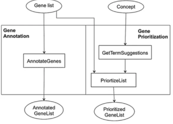 Fig. 1. A sketch of the two main analyses followed for gene interpretation: gene annotation and gene prioritisation.