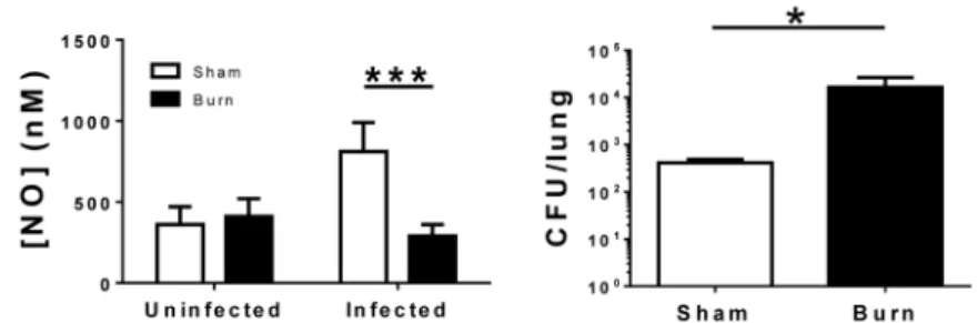 Figure 2. Relative to sham mice, burn injury causes decreased blood NO concentrations and  increased pulmonary bacterial load following a 14 d post-burn infection
