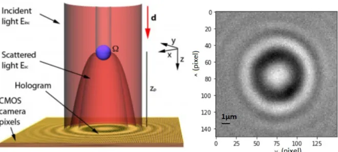 Figure 1: (left) A schematic of the experimental set-up used for in-line digital microscopy