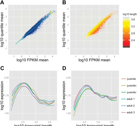 Fig. 8. The effect of transcript length on final expression values. A: scatter plot of gene  ex-pression values (mean over all six samples) obtained by either FPKM or quantile  normal-ization