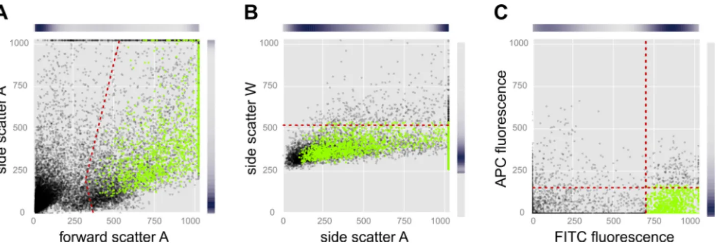Fig. 2. Fluorescence-activated cell sorting (FACS) of individual lhb-expressing gonadotrope cells following enzymatic dispersion of pituitaries from adult lhb:Gfp transgenic medaka