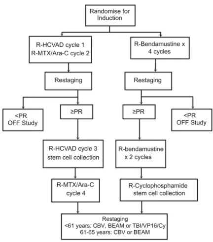 Figure 1. Study schema