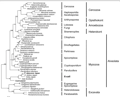 Figure 6 Bayesian Inference phylogenetic tree. Phylogenetic tree constructed using Bayesian Inference analyses using the general time-reversible (GTR+I+G) model of evolution