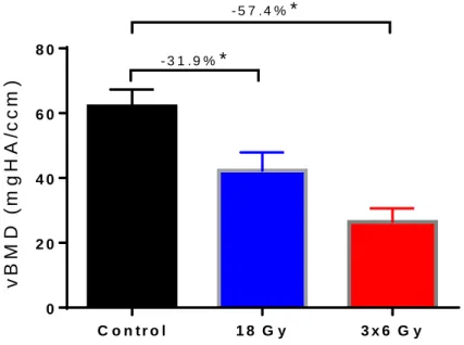 Figure 9 shows the results for the volumetric bone mineral density (vBMD). This  follows a similar trend to BV/TV, with both irradiated groups showing notable decrease  when compared to the control