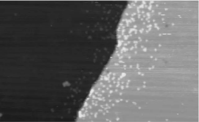 Fig. 1. 662  404  A A 2 STM image of a monatomic height step on a Cu(0 0 1) surface taken 38 min after the deposition of 0.03 ML of indium at room temperature