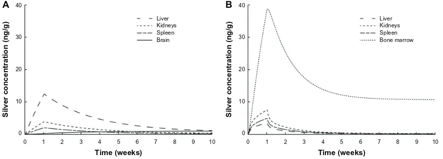 Figure 6 Comparison of the PBPK models to human toxicokinetic and biomonitoring data.Notes: (A) Organ silver reference values of the USA,40 (B) organ silver levels of deceased burn victims treated with silver nitrate,69 and (C) biomonitoring data from work