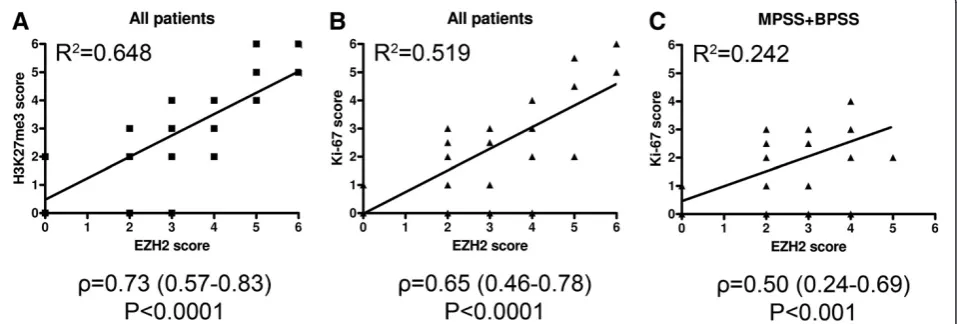 Figure 3 Scatter graphs with linear trend lines indicate positive correlations between EZH2 and the other markers.included in All patients were (A) and (B), while PDSS patients were excluded in (C)