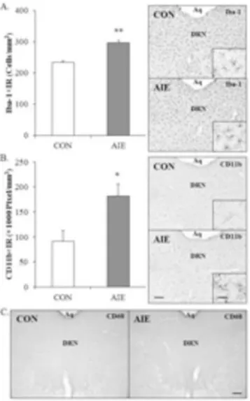 Figure 5. Adolescent intermittent ethanol (AIE) exposure increases the population and partial  activation of microglia in the young adult (P80) dorsal raphe nucleus (DRN)