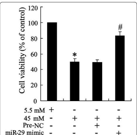 Fig. 6 Ubiquitination of Nrf2 was regulated by miR‑29/Keap1 axis in high glucose triggered HK‑2 cells