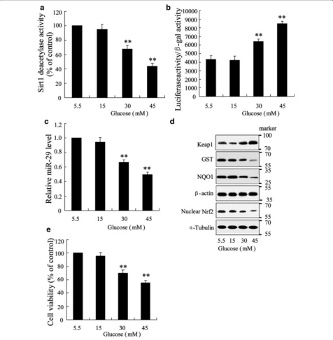 Fig. 2 Effect of high glucose on renal tubule epithelia cell of HK‑2 in vitro. Cells were triggered with doses of glucose (5.5, 15, 30 and 45) for 48 h