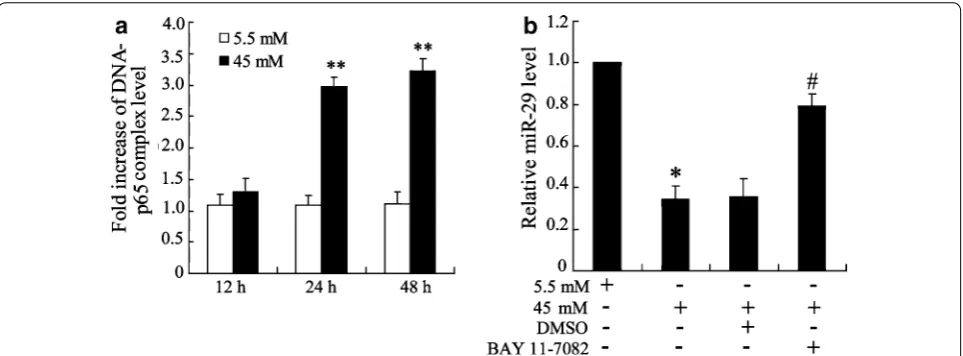 Fig. 4 NF‑κB regulates miR‑29 expression in high glucose‑triggered HK‑2 cells. a Cells were stimulated with 5.5 and 45 mM glucose for 12, 24, 48 h and combination of p65 and miR‑29 gene was examined using Chip assay