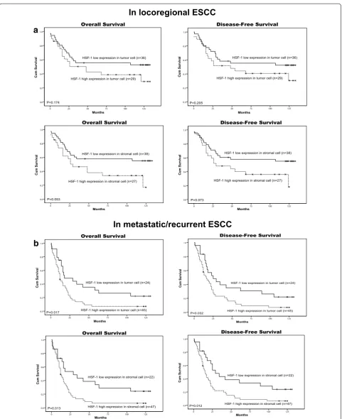 Fig. 7 Kaplan-Meier survival analysis in patients with locoregional ESCC and metastatic ESCC