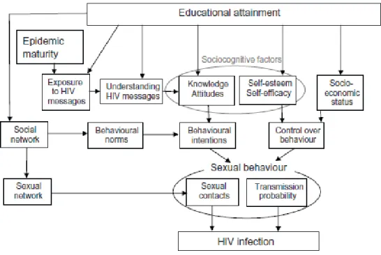 Figure 2.1. Pathways for the effect of educational attainment on HIV infection  