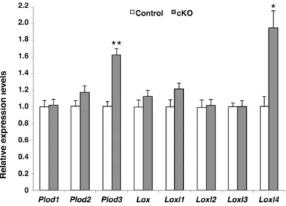 Fig. 2. Loss of BMPR1A increased the expression levels of genes related to collagen post- post-translational modification