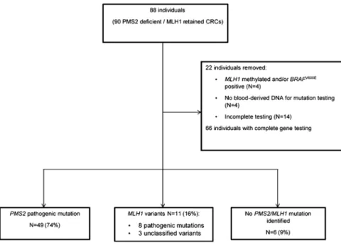 Table 1 Characteristics of the 11 individuals with a germline MLH1 variant from 12 colorectal carcinomas with loss of PMS2 expression and retained MLH1 expression