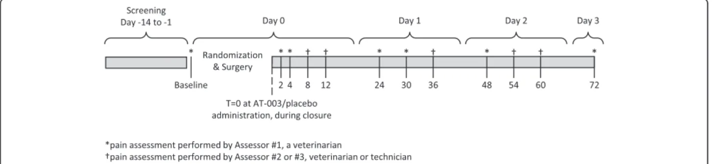 Fig. 2 Study Protocol Outline