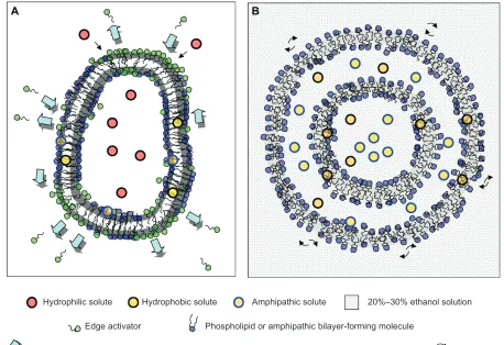 Figure 1 A representative scheme of deformable vesicles (A), and fluid vesicles (ethosomes) (B).