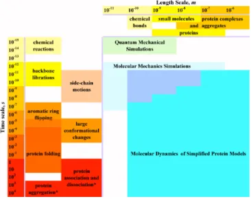 Figure 1.1. Time and length scales of processes involving proteins. The left side of the  figure contains examples of processes occurring at various time scales