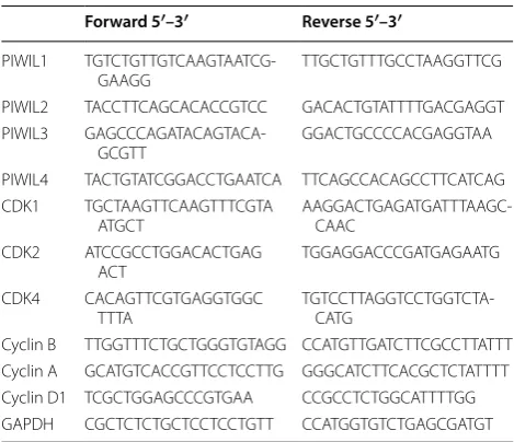 Table 1 Primers used in the present study