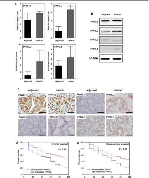 Fig. 1 Expression of PIWIL2 in NSCLC and multivariate Cox’s regression analyses of primary NSCLC patients (n Disease-free survival rates and its correlation with PIWIL2 expression