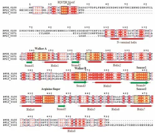 Figure 10Multiple sequence alignment of P-loop NTPase domain of P. falciparum Tip 49 proteinsMultiple sequence alignment of P-loop NTPase domain of P