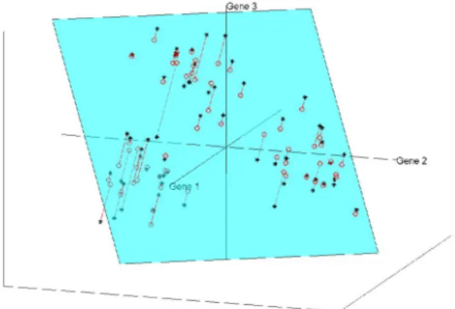 Figure 1.4: The subspace generated by the first two Principal Components of the same toy data set, with projected data points.