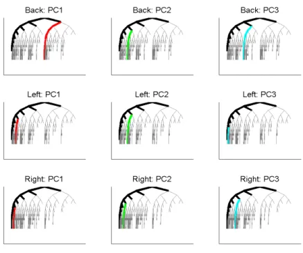 Figure 2.5: Best fitting tree-lines for Data Set 1, for different sub-populations (rows), and PC number (columns)