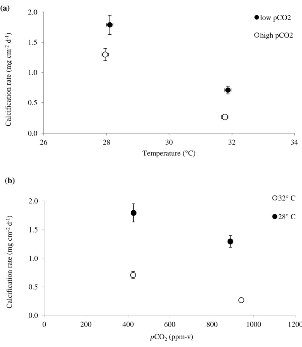 Figure 3. Average calcification rates for S. siderea corals reared at four crossed temperature- temperature-pCO 2  treatments (425 ppm-v-28 °C; 425 ppm-v-32 °C; 915 ppm-v-28 °C; 915 ppm-v-32 °C)