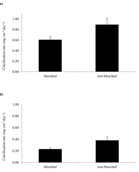 Figure 6. Average calcifications rate for bleached and non-bleached specimens of S. siderea: (a)  31.9 °C at 424 ppm-v (b) 31.8 °C at 940 ppm-v