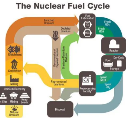 Figure 2: Nuclear Fuel Cycle from the U.S. Nuclear Regulatory Commission,   http://www.nrc.gov/materials/fuel-cycle-fac/stages-fuel-cycle.html 