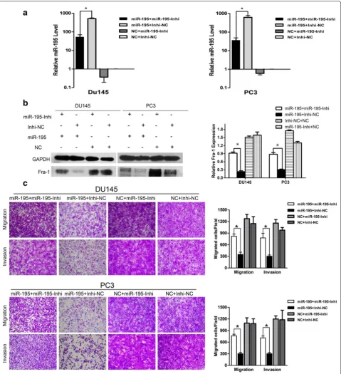Fig. 6 Inhibition of miR-195 partially reversed the over-expression of miR-195 induced effect