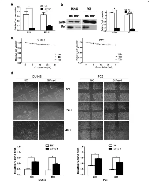 Fig. 4 Silence of Fra-1 impaired cell motility in wound healing assay without significantly affecting cell viability