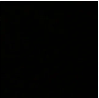 Figure 2.6: Summed-area table reconstruction error of the inset (bottom row) of Figure 2.5.
