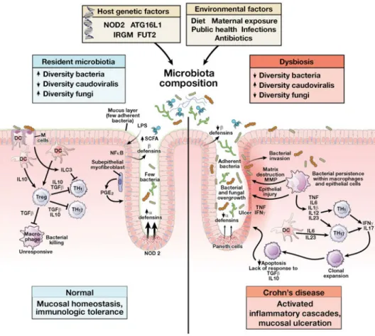 Figure 1. Genetic and Environmental Factors that affect the Intestinal Microbiota