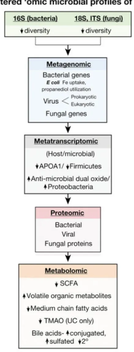 Figure 3. Microbial Profile, Genome, Transcriptome, Proteome, and Metabolome Features of  Individuals With vs Without IBD