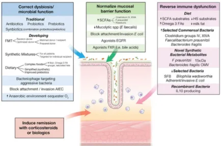 Figure 4. Treatment of IBD by Altering Microbial Composition or Function