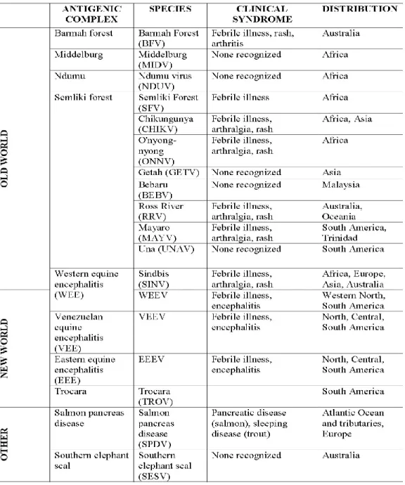 Table 1.1:  Alphavirus classification and epidemiology 