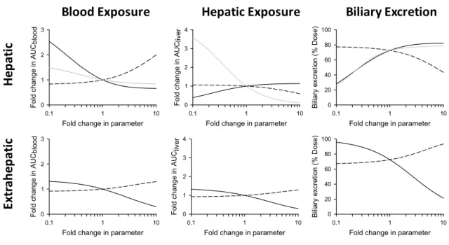 Figure 2.3.  Sensitivity analysis of parameter estimates determined from the semi-PBPK model (Figure  2.2; Table 2.2)
