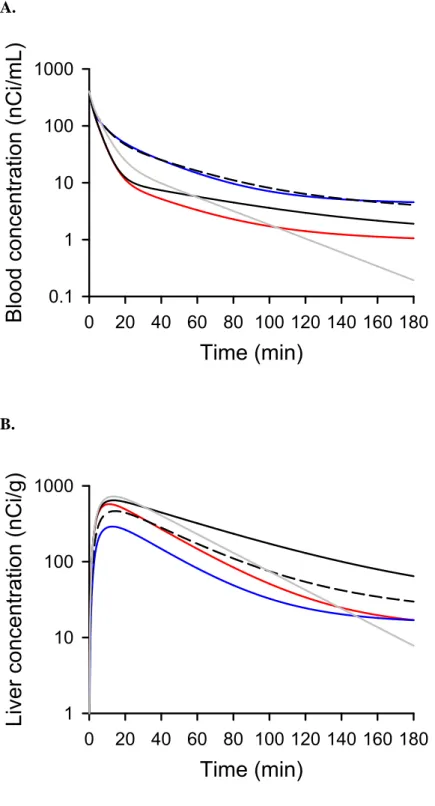 Figure 2.4.  Simulations based on the  99m Tc-mebrofenin semi-PBPK model scheme (Figure 2.2) for 