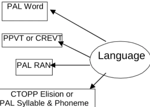 Figure 9. Language Path Model 