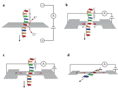 Figure 1.1: Figure portraying the four different types of DNA sequencing studied by Heerema et al.1.1