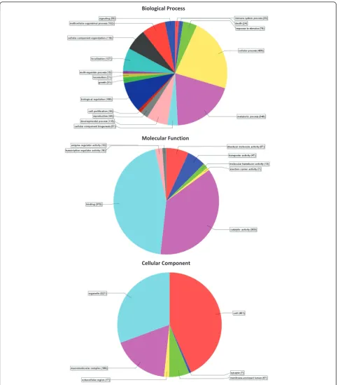 Figure 1 Pie charts demonstrating distribution of second-level GO terms across the three major GO categories
