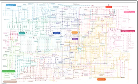 Figure 2 Graphical representation of thecoloured differently from that of the background metabolic pathway, i.e