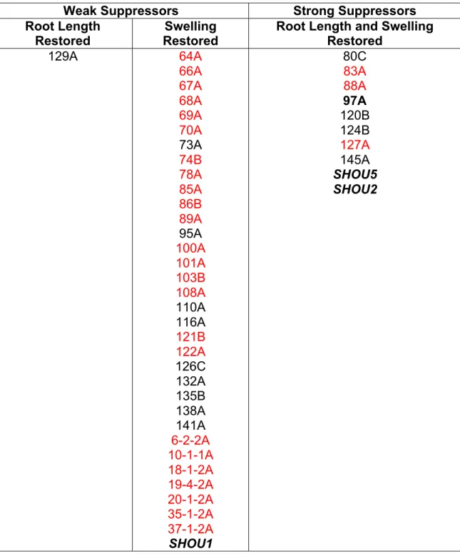 Table 2.2 Phenotypes of fei1 fei2 suppressors. 