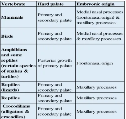 Table 1.1 Interspecies variation in the embryonic origin of the  secondary palate. Content adapted from Ferguson et al